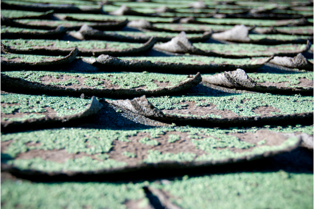 Roof with Storm Damage